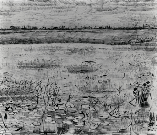 Marsh with Water Lilies